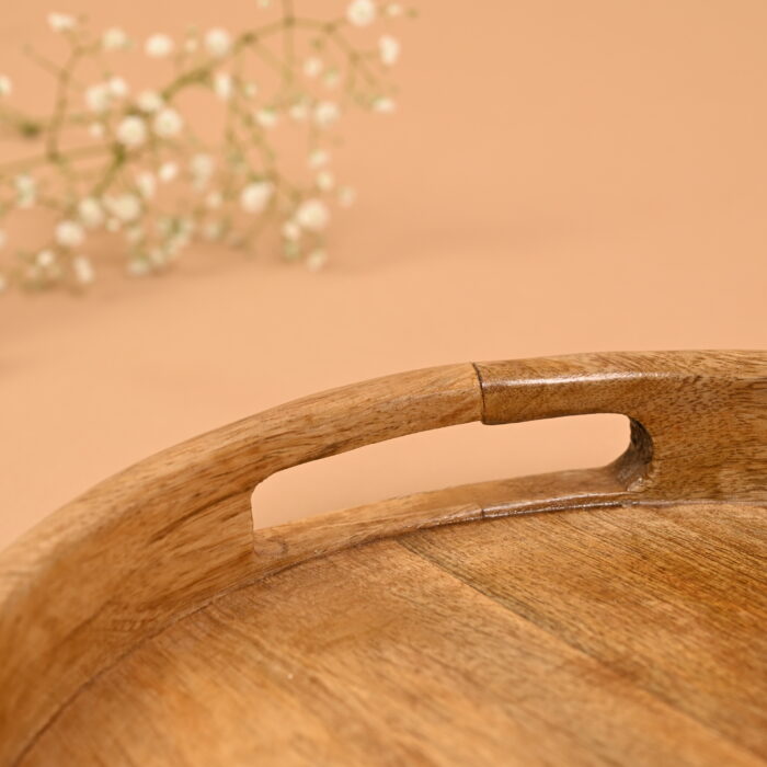 Round Tray - Image 3